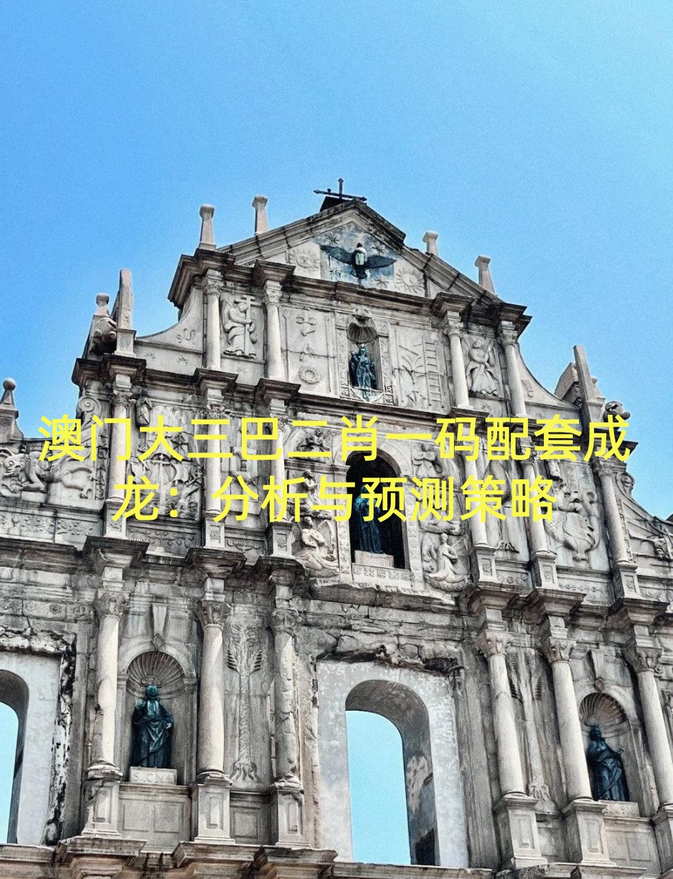 澳门大三巴二肖一码配套成龙：分析与预测策略
