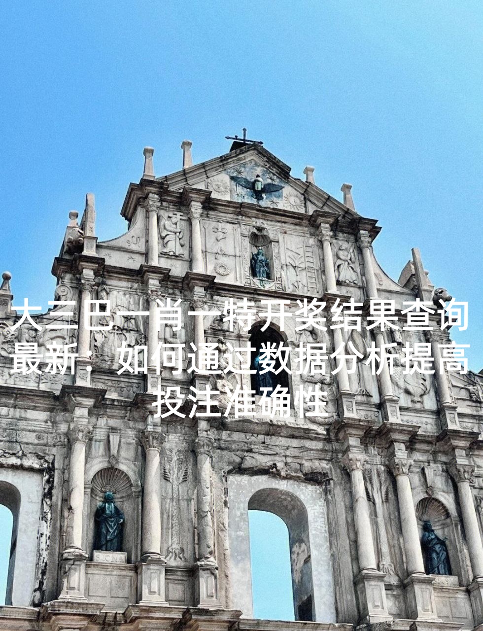 大三巴一肖一特开奖结果查询最新：如何通过数据分析提高投注准确性