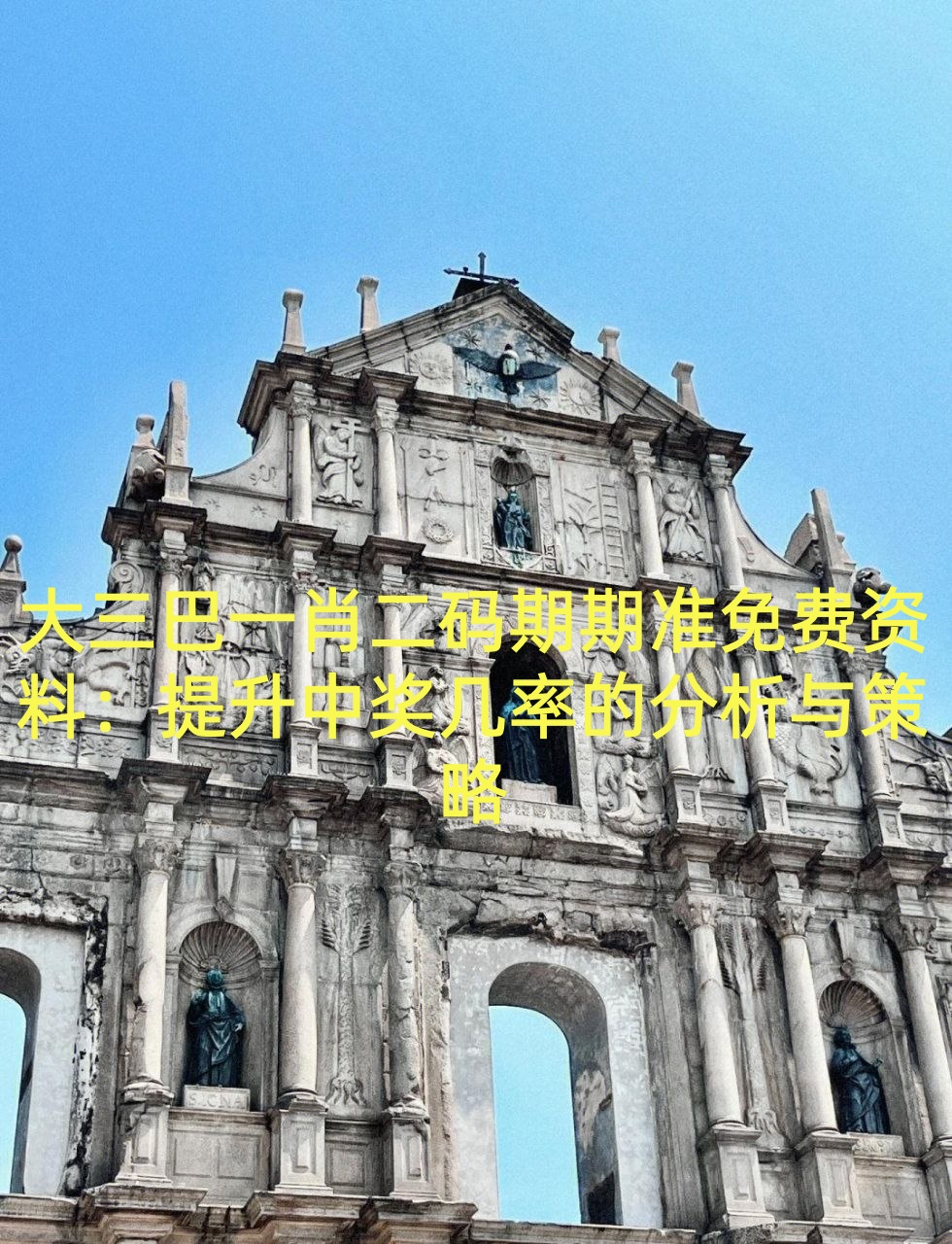 大三巴一肖二码期期准免费资料：提升中奖几率的分析与策略